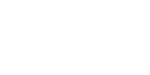 VIP Spins 500x500_white